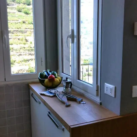 Apartment Il Bordone - Con Vista Mare Manarola